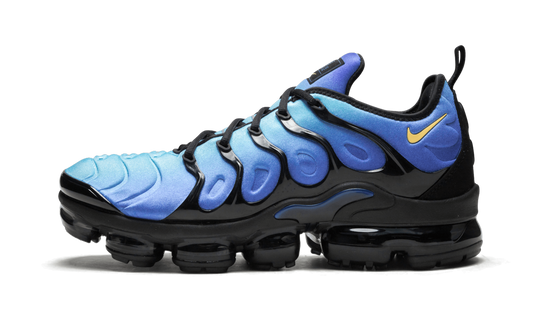 Air Vapormax Plus "Original Fade" 924453 008